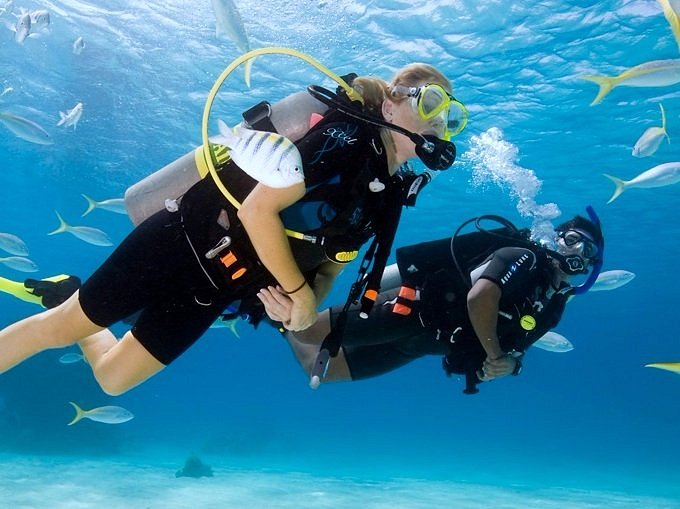 scuba diving in tarkarli rates
scuba diving institute tarkarli
scuba diving packages in tarkarli
scuba diving price in tarkarli
scuba diving rates in tarkarli